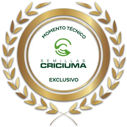 Sello Momento Técnico Exclusivo